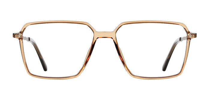 Brown_Transparent_with_Silver
