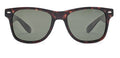 Brown_Demi_with_Green_Lens